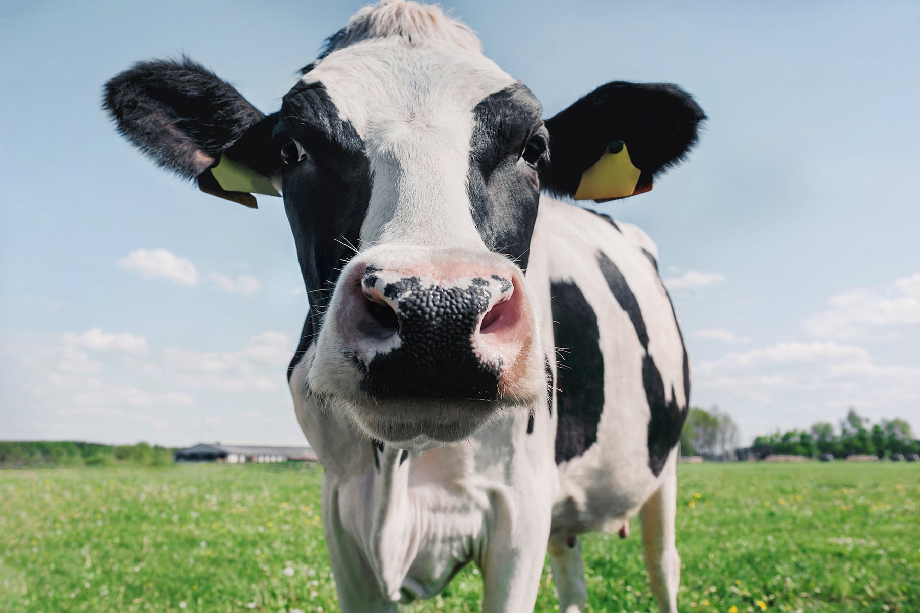 Lactose-intolerantie herkennen en vermijden