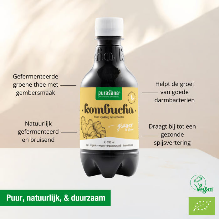 Purasana Kombucha Gember 330 ml bio