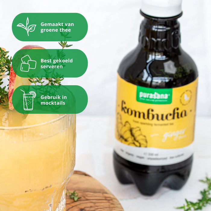 Purasana Kombucha Gember 330 ml bio